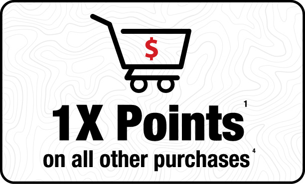 1X points on all other purchases