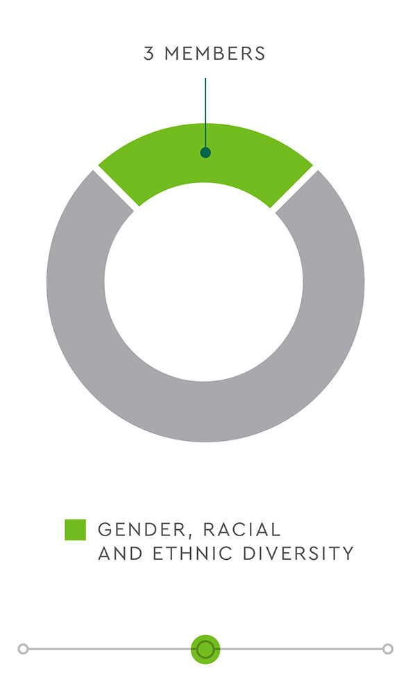 3 members representing gender, racial and ethnic diversity