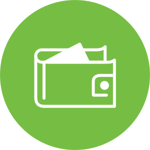 Green wallet illustration icon